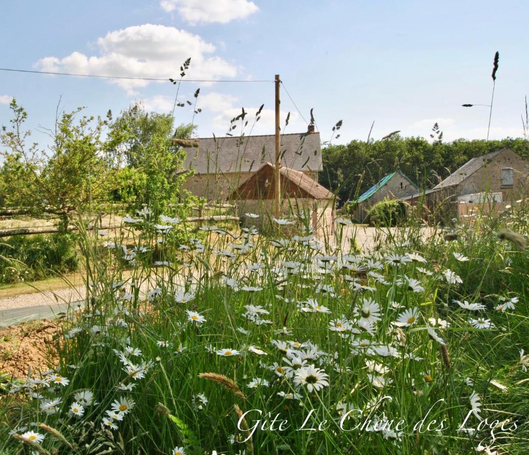 Gite Familial Pour 6 Pers En Campagne Bouere 외부 사진